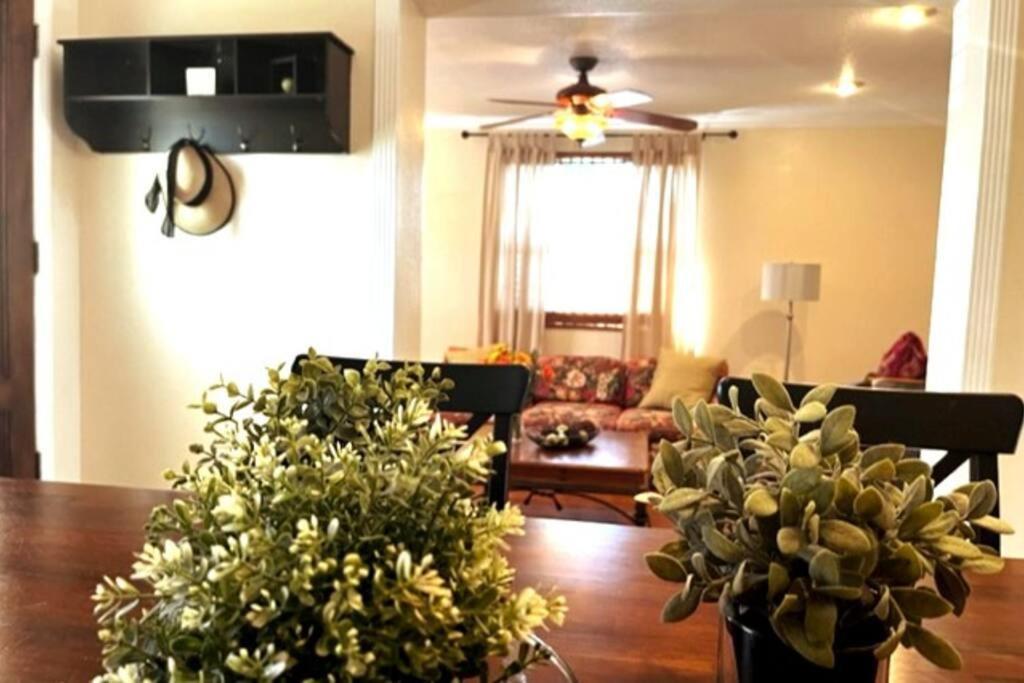 House Close To Downtown, Airport, Raymond James Stadium, And Many More Places Tampa Extérieur photo