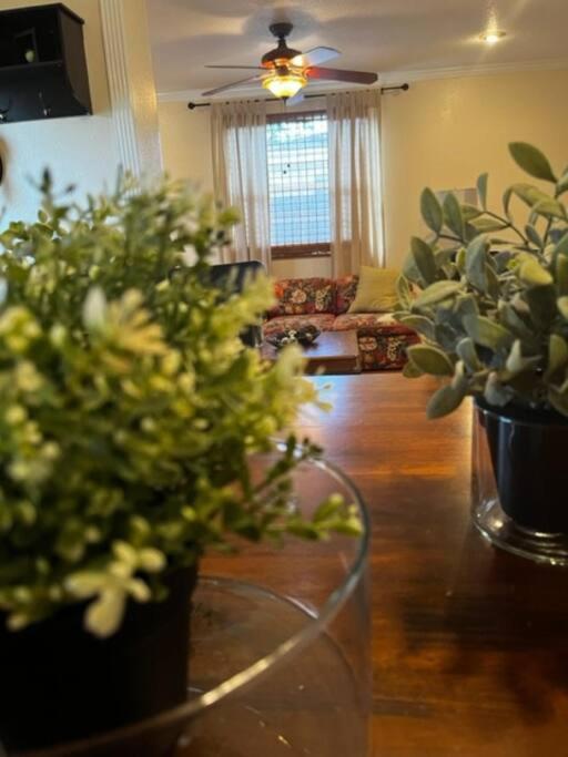 House Close To Downtown, Airport, Raymond James Stadium, And Many More Places Tampa Extérieur photo